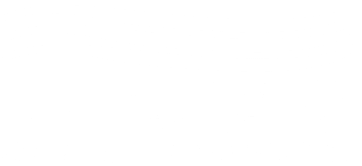 DIMSA LOGO WHITE